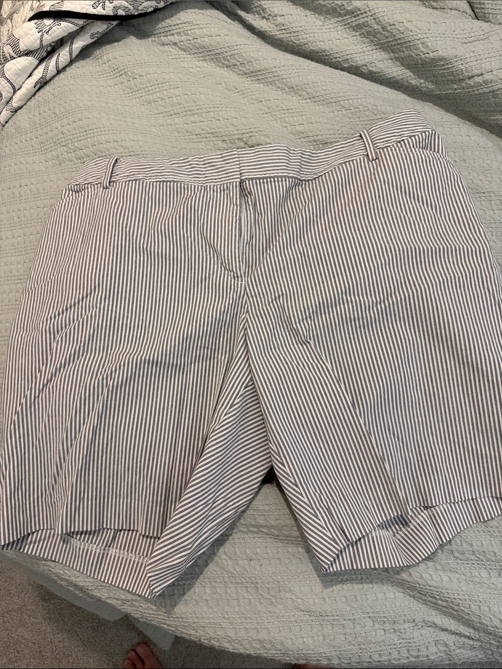 shorts plus size
